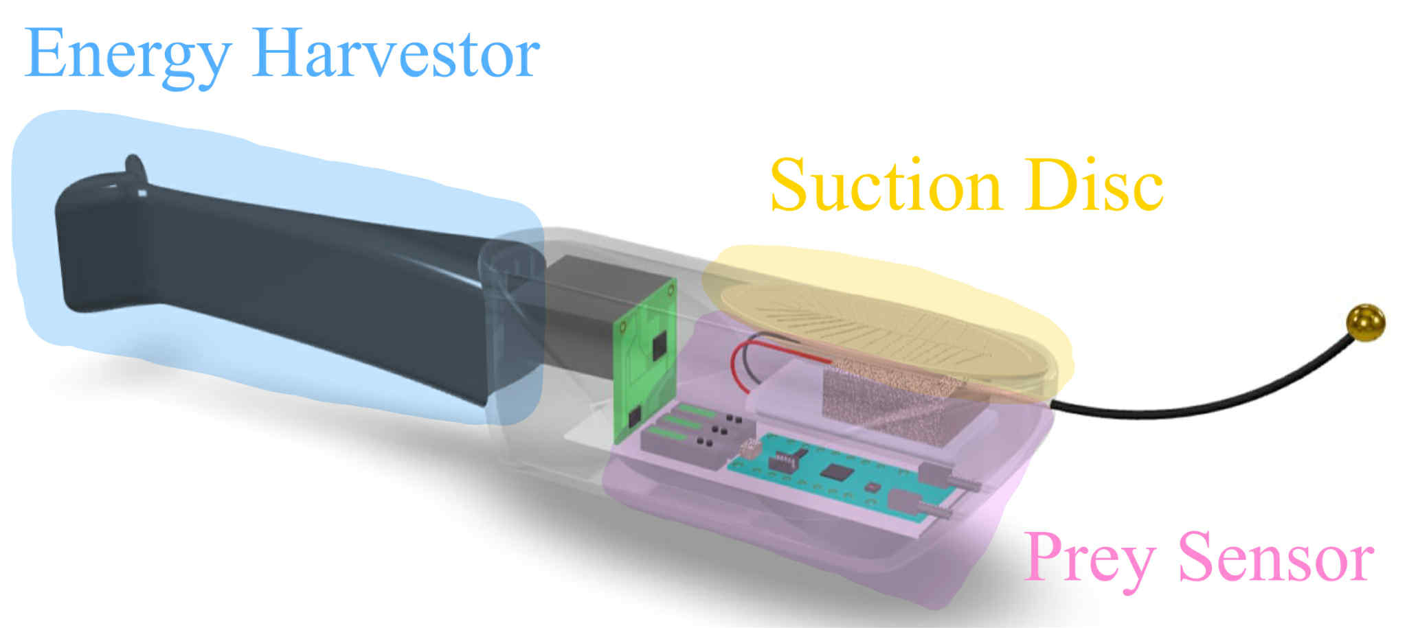 Self-Powered Edge AI Shark Tag Pro